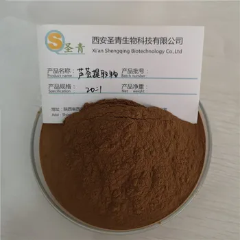 

CN Health Aloe Extract 20:1 Aloe Essence Powder 200G Natural Aloe Extract