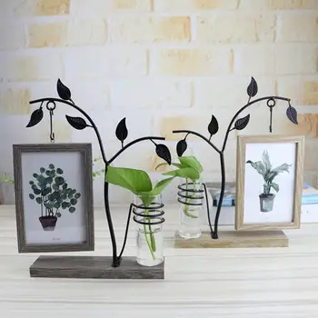 

Creative Photo Frame with Hydroponic Hanging 6 Inch Double-Sided Photo Frame Decorative Table Crafts Ornaments Home Decoration