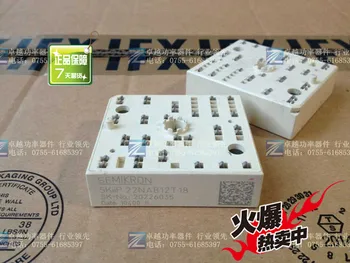 

SKIIP22NAB12T18 imported power module--ZYQJ