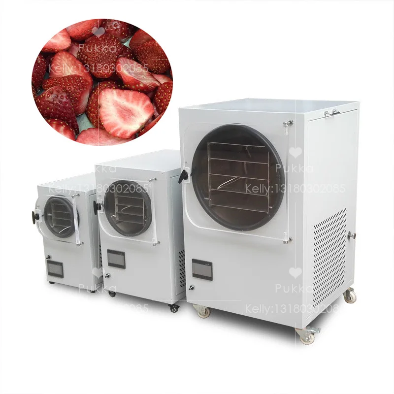 Home Freeze Drying Machine Food Freeze Dryer 220v 50hz Mini Freeze Dryers  Machinery - Food Processors - AliExpress