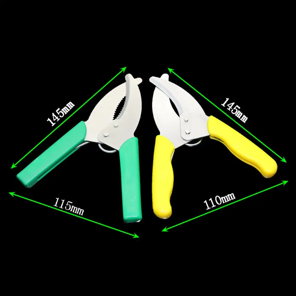 Slide image 898b102b348f45498e0bc61428d9c45a