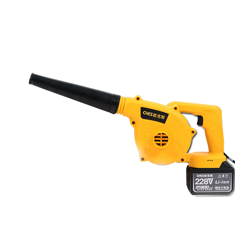 

Electric Charging Mode Lithium Battery Hair Dryer Car Computer Dust Collector Soot Blower Blowing High Power Wireless Blower