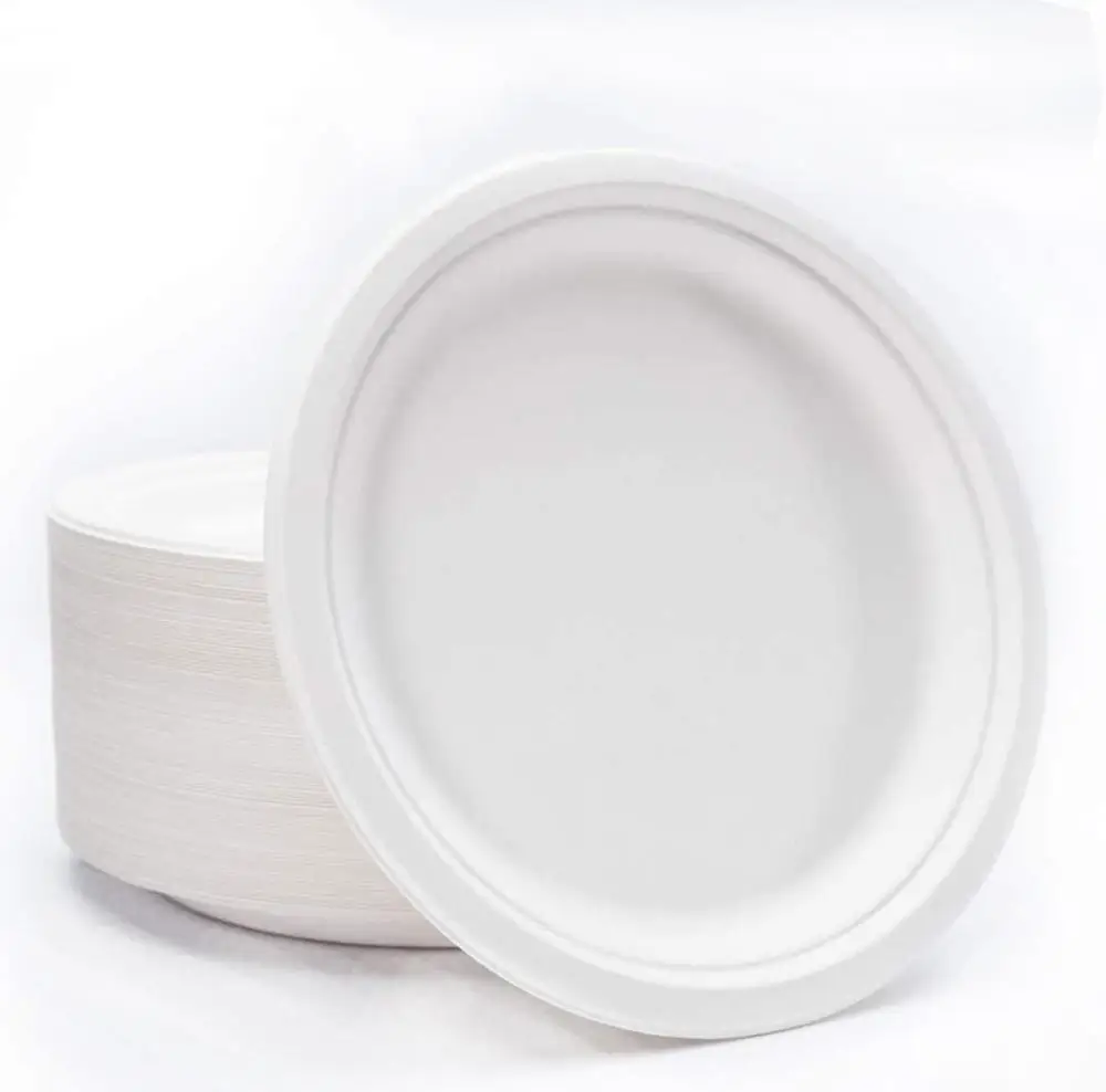 

25 Pcs 7/9 inch Disposable Saper Disc Birthday party Paper Plates Wedding Party Tableware Compostable Supplies