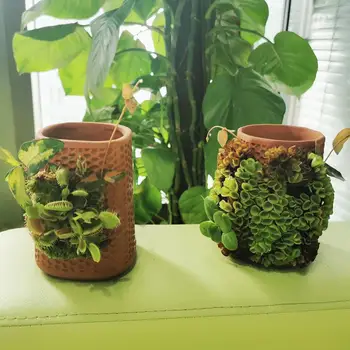 

Automatic Watering Planter Ceramic Succulent Herb Honeycomb Shape Flower Pot Garden Tools Garden Supplies Home Decoration