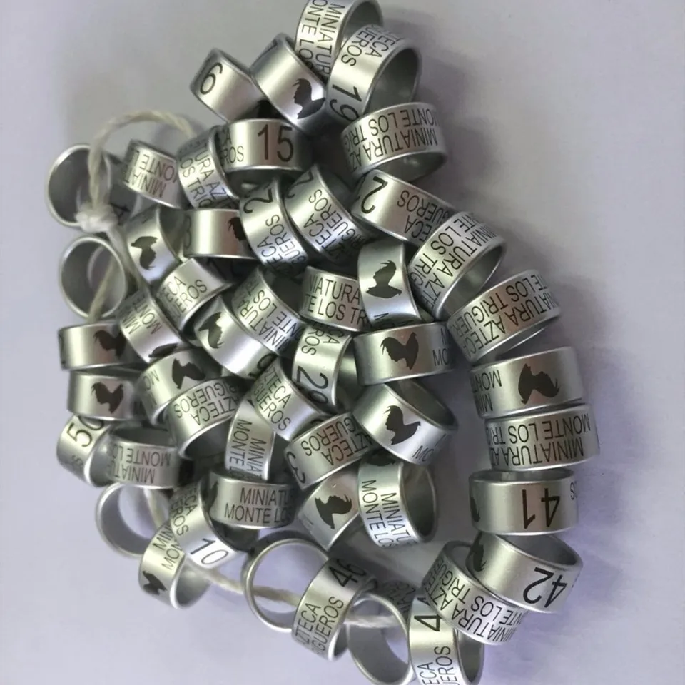 Birds Leg Ring Silver Parrot Closed Leg Ring Racing Pigeon Ring Making Bird Rings Bird Leg Bands Stainless Steel Rings Bird Training Aliexpress
