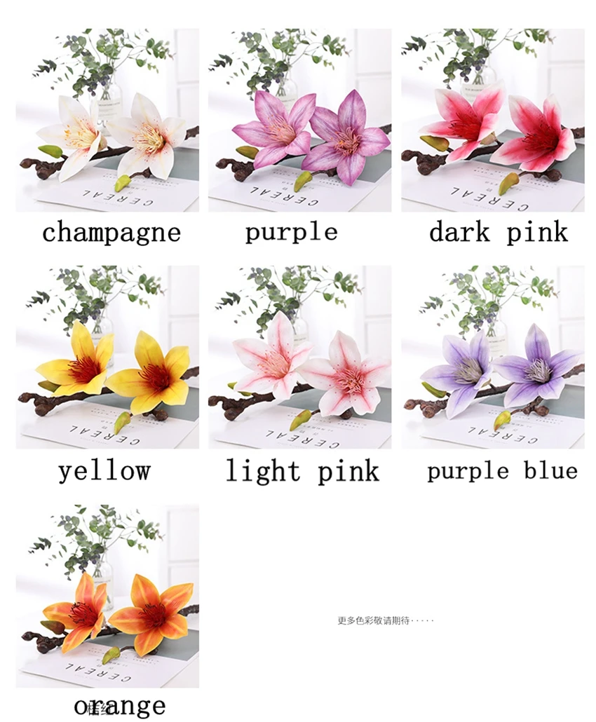 11983355281_1538239467