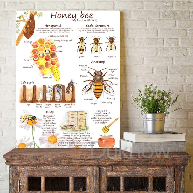 Bee Honeycomb Wall Hanging, Bee Mobile, Bee Wall Art, Bee Home Decor 