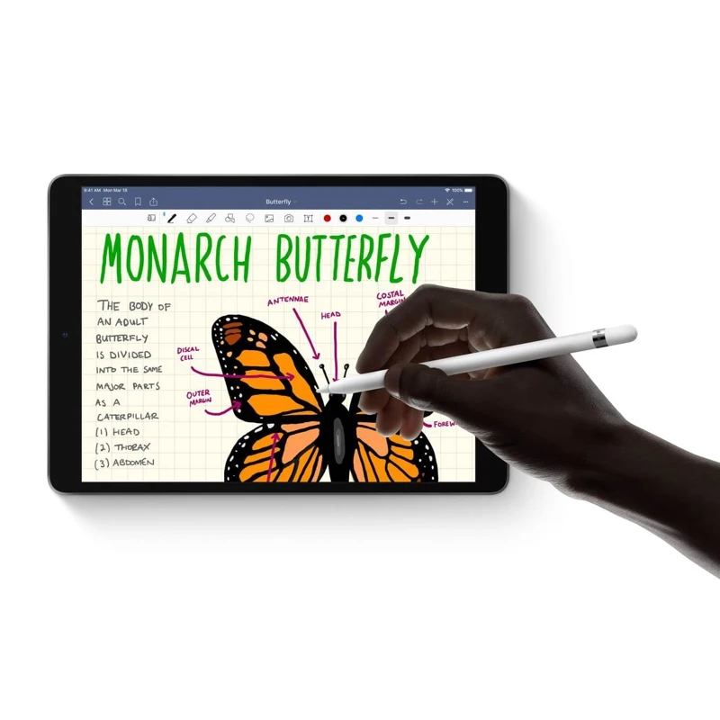 SwitchEasy Paperlike screen protector for iPad mini 7.9"
