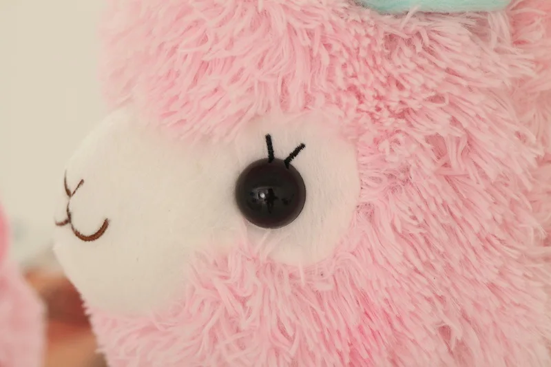 23235