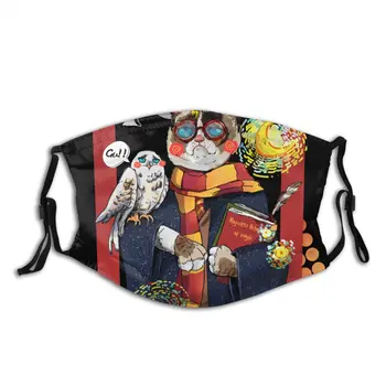 

protective mask with filter Magic School I Am A Harry Cat anti dust PM2.5 reuse adult teen child girl