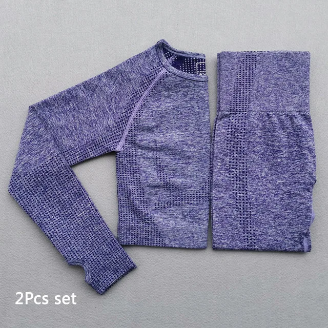 Purple 2pcs set Бесшовный костюм для йоги, 2 шт., спортивные футболки, укороченный топ, бесшовные леггинсы, спортивный комплект, одежда для спортзала, фитнес-костюм, комплект для тренировок, Femme - Цвет: Purple 2pcs set