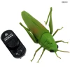 EBOYU RC Grasshopper Remote Control Grass Hopper Animal Toy Electronic Locust Fake Insect Car Vehicle Kids Birthday Gifts 4