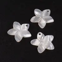 10pcs Natural Flower White Flower Shell Mother of Pearl Shell Pendants Charms for Jewelry Making Decor 18.5x19x2mm Hole: 1.5mm 1