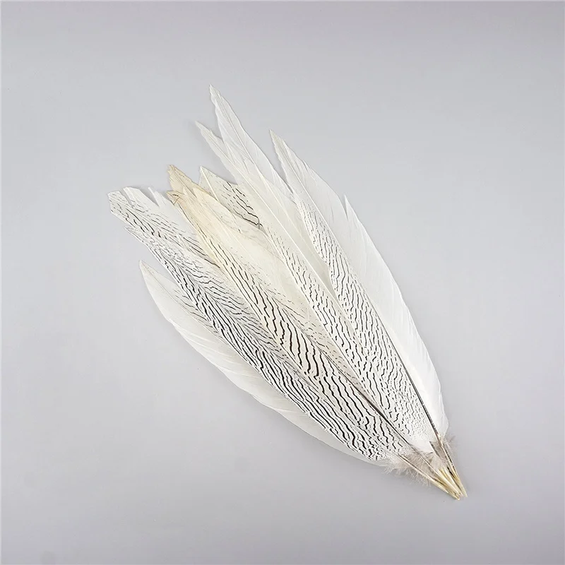 Pheasant Tail Feathers for Crafts Natural Silver Pheasant Feather Carnaval Wedding Feathers needlework accessories Decoration