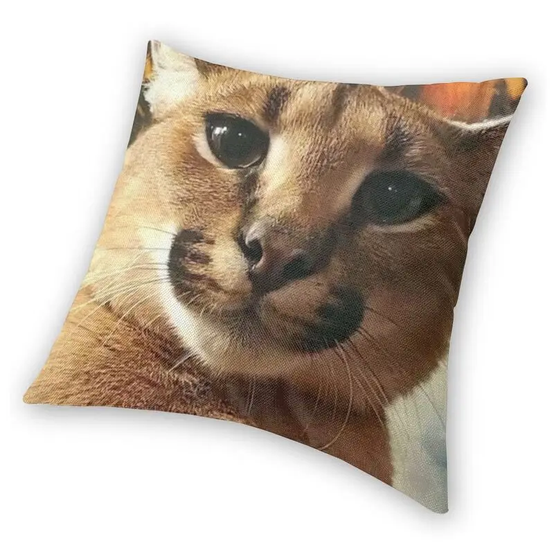 Personalizado da floppa do bebê meme square throw fronha decoração da casa  3d dois lados impressão gato capa de almofada para o sofá - AliExpress