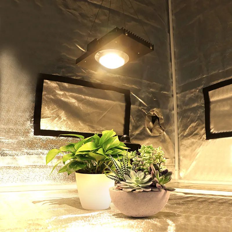 Светодиодный полный спектр 100 Вт CREE CXB3590 cob led лампа для выращивания DIY модуль