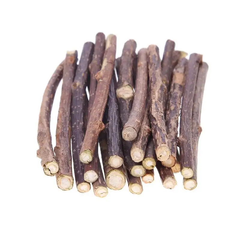 15&20pcs Natural Catnip Pet Cat Molar Toothpaste Stick Actinidia Fruit Silvervine Cat Snacks Sticks Pet Cleaning Teeth