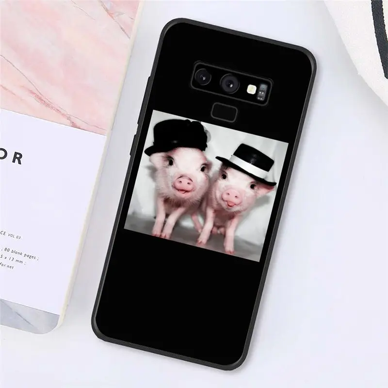 Cute Little Pink Pet Pig