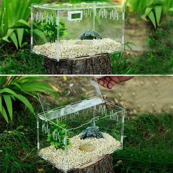 

Pet Feeding Transparent Reptile Breeding Box Acrylic Feeding Box Pet Climbing Terrarium Carrier For Pet Spiders Scorpions Mantis