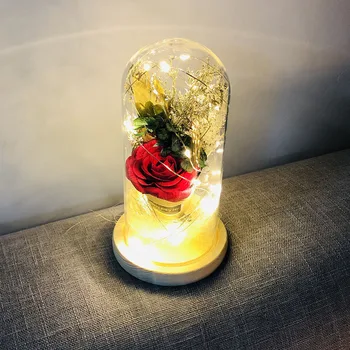 

Artificial Rose Flower LED Light String in Glass Never Withered Romantic Gifts for Valentine's Day Mother's Day Birthday Decor