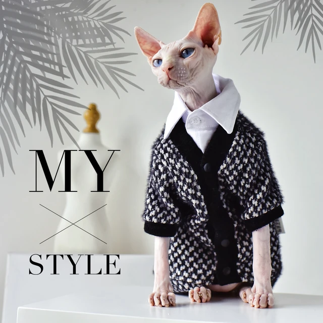 Designer Cat Sweater  LV Sweater for Sphynx, Designer Sweater