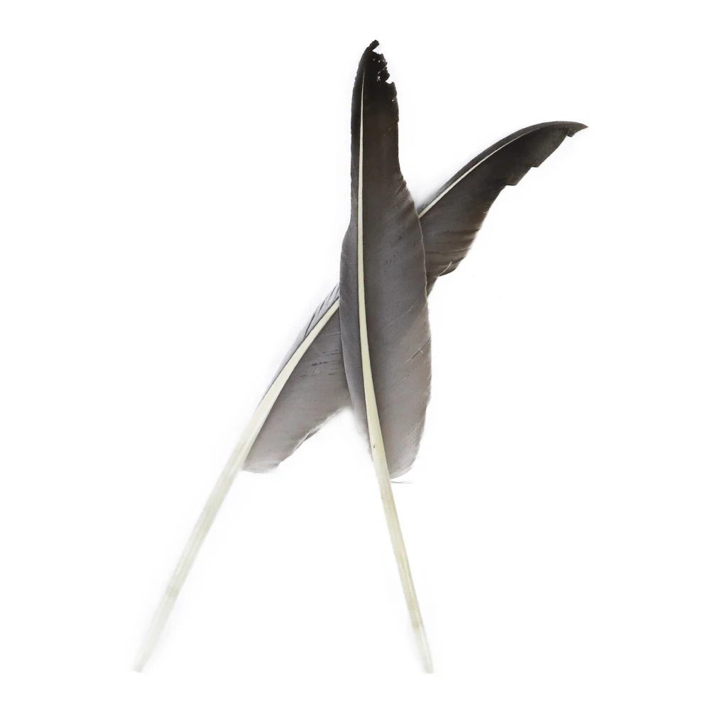 50pcs Natural Goose Feather for DIY Jewelry Making and Wedding Handwork Decor 25-30Cm/10-12Inch Plumes goose feathers craft feathers natural feathers