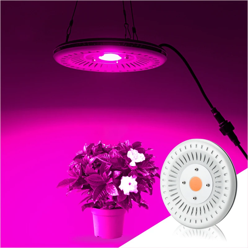 

50W LED Plant Grow Lamp 220V 110V Full Spectrum Panel Phyto Light IP67 Waterproof 360 Degree Heat Dissipation for Seeding Growth