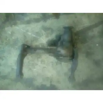 

212533 Front differential Mitsubishi Montero (l040) *