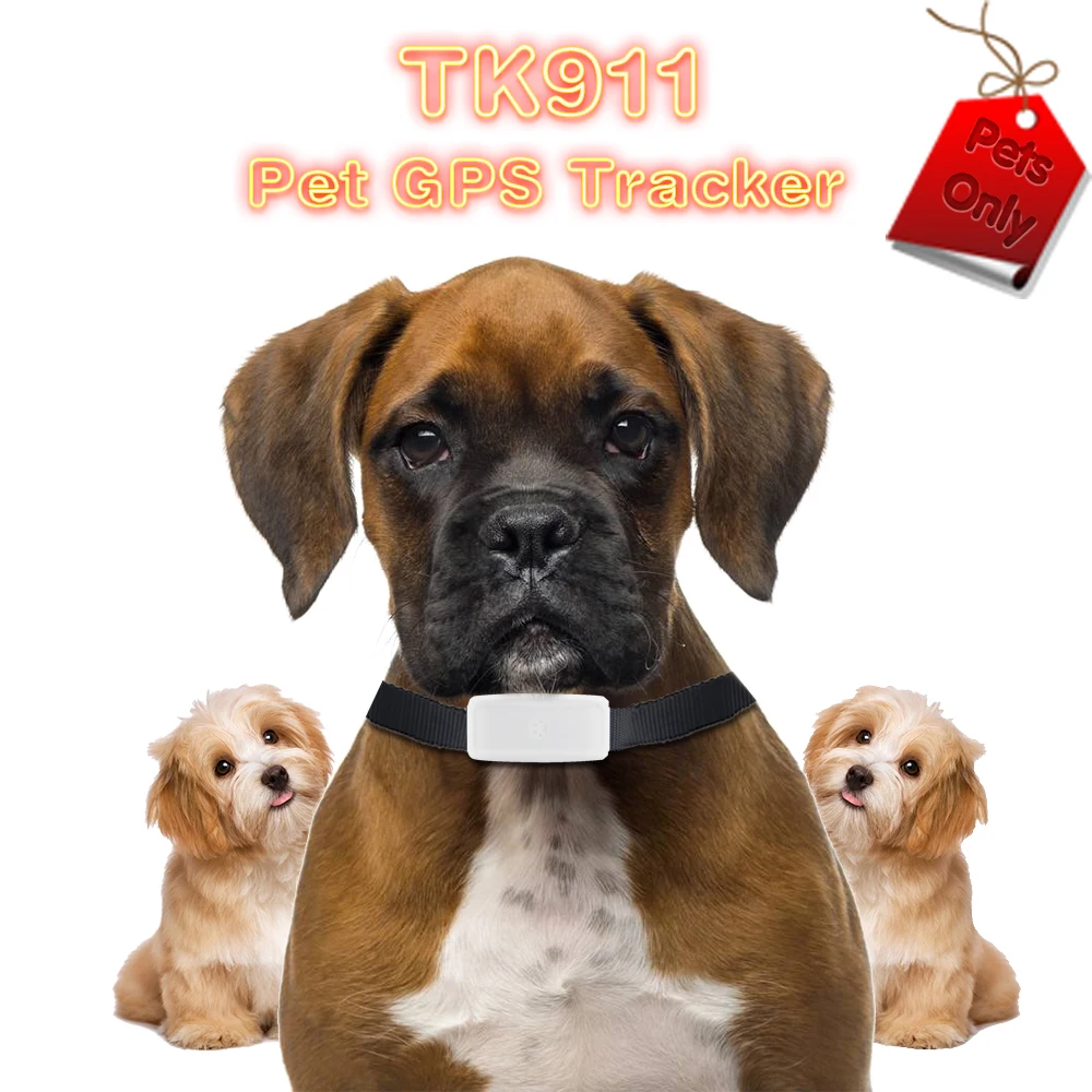 TKSTAR TK911 Wifi gps-трекер для домашних животных, кошек, собак, мини отслеживающий локатор, устройство адсорбционной зарядки, длительное время ожидания, платформа, приложение