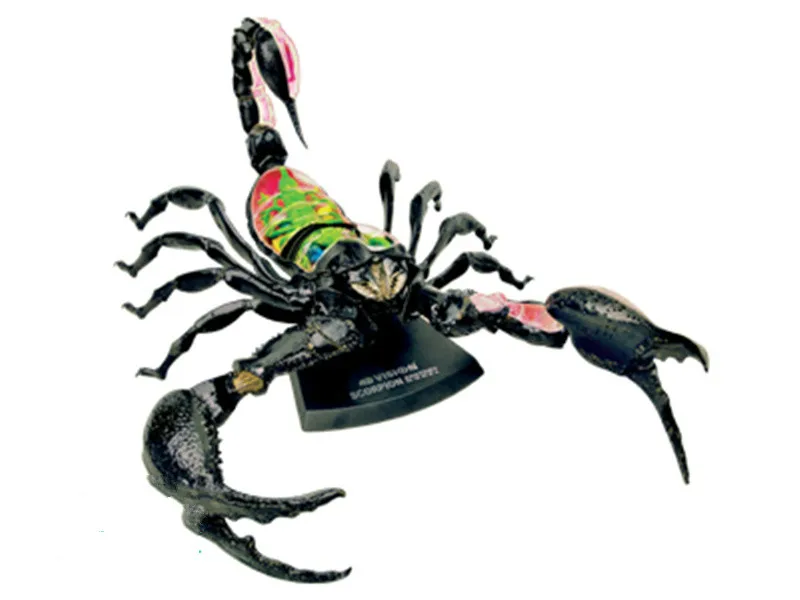 Scorpion 26113 Собака кошка курица лошадь Акула КИТ биология орган анатомическая модель для медиков обучающая модель 4d мастер головоломка сборка игрушка животное - Цвет: Scorpion 26113