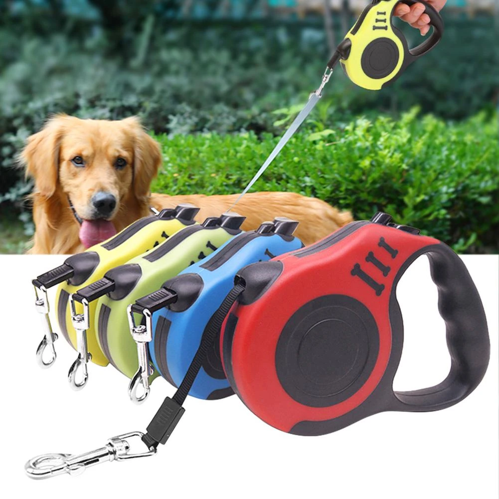 5m dog leash