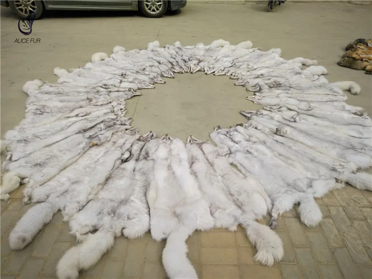 Fox skin04