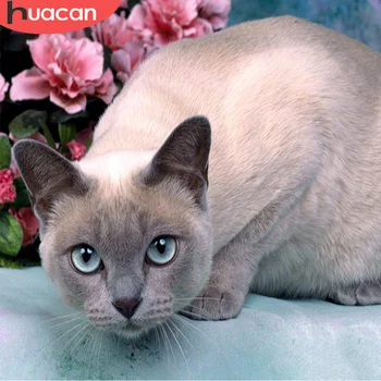 

HUACAN DIY Full Square Diamond Embroidery 5D Cat Round Diamond Painting Animal Handmade Home Decor Gift