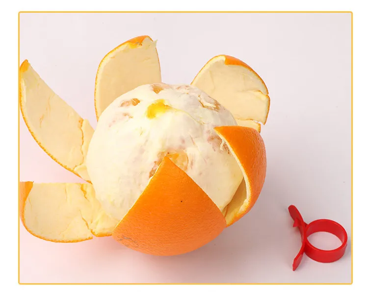 10363405816_75505767