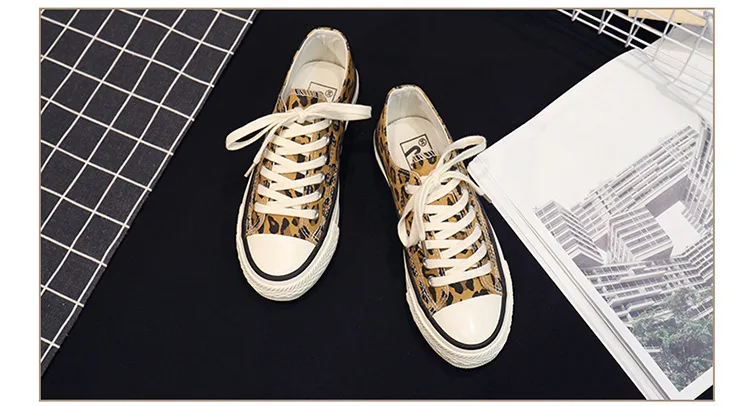 10096895793_2073054058