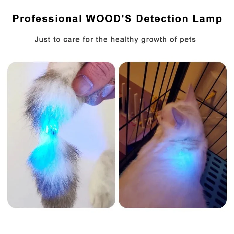 Lampe de Wood U.V détection teigne du chat