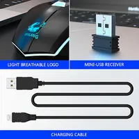 Computer Peripherals