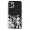 Mobile Phone Accessories