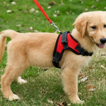 

Pet Dog Adjustable Harness Soft BreathableVest Harness For Small Medium Dogs Puppy Collar Cat Pet Dog Durable Chest Strap*H