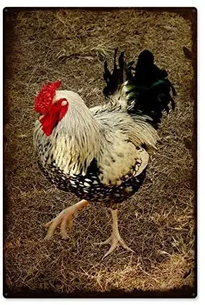 

Vintage Metal Tin Sign Black White Rooster Red Comb Outdoor & Home Bar Street Wall Decor Signs 12X8Inch