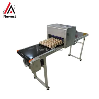 

Newest type egg conveyor support, ink egg coding equipment with high speed
