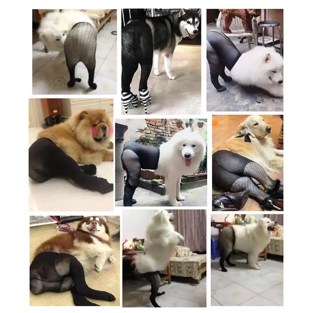 ペット犬面白いシルク黒ストッキング写真撮影小道具犬模倣衣装用品規模および中規模の犬 犬のおもちゃ Aliexpress