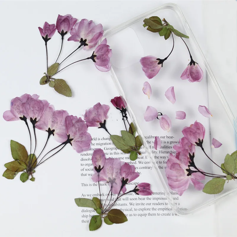 Cherry Blossom Begonia Flower Dry Embossing Plant Soy Wax Candle Accessories Soap Making Kit Scented Candles Beeswax | Дом и сад