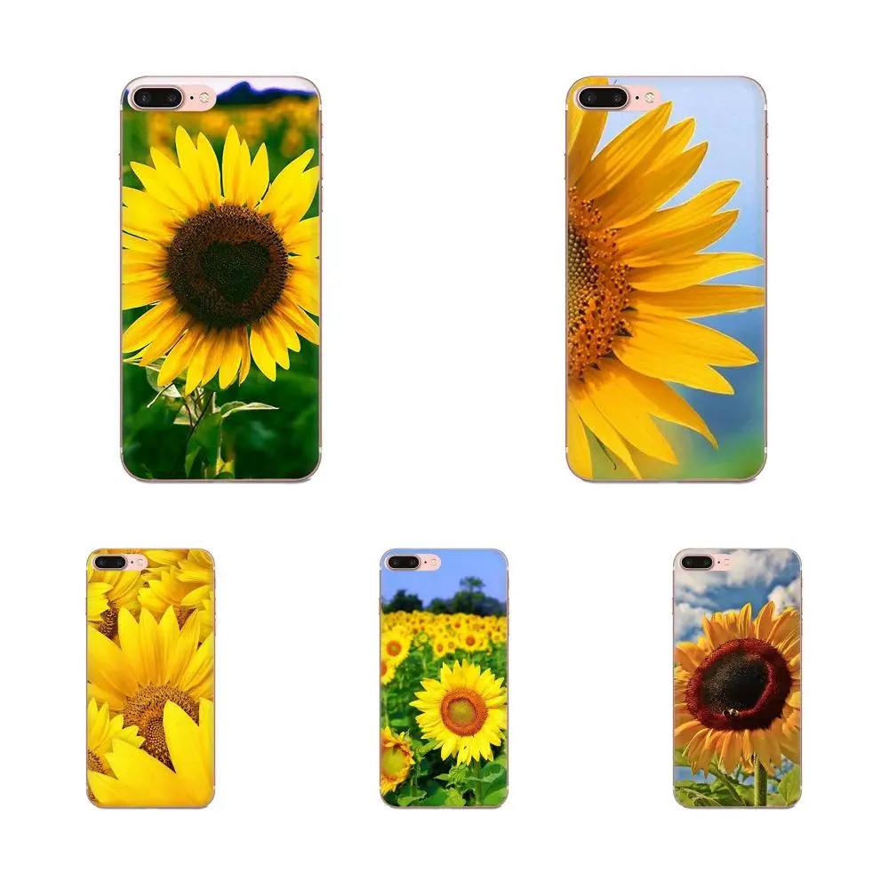 Soft Silicone TPU Transparent Best Cases For Apple iPhone 4 4S 5 5C 5S SE 6 6S 7 8 11 Plus Pro X XS Max XR Sunflower | Мобильные