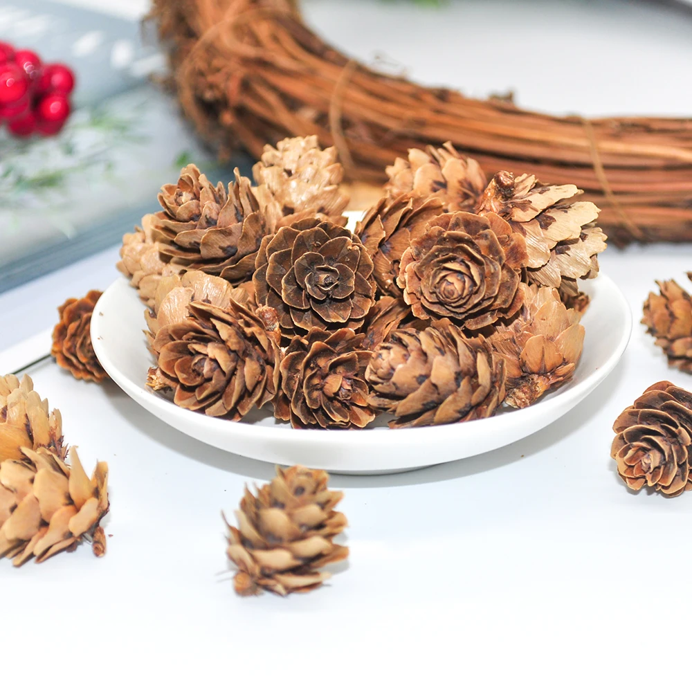 Pinecone (1)