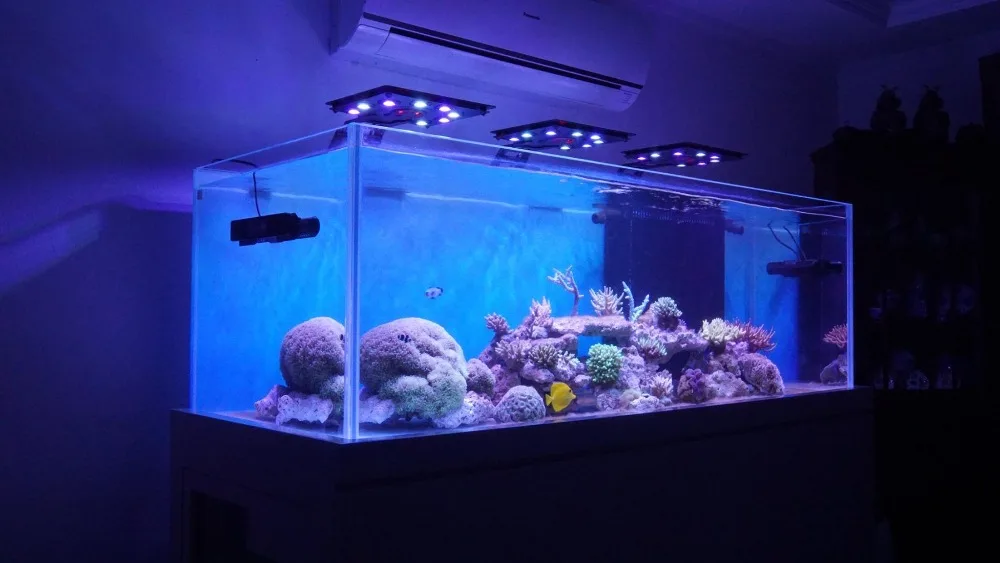 12973232_1167127943317428_3111918975521379841_o