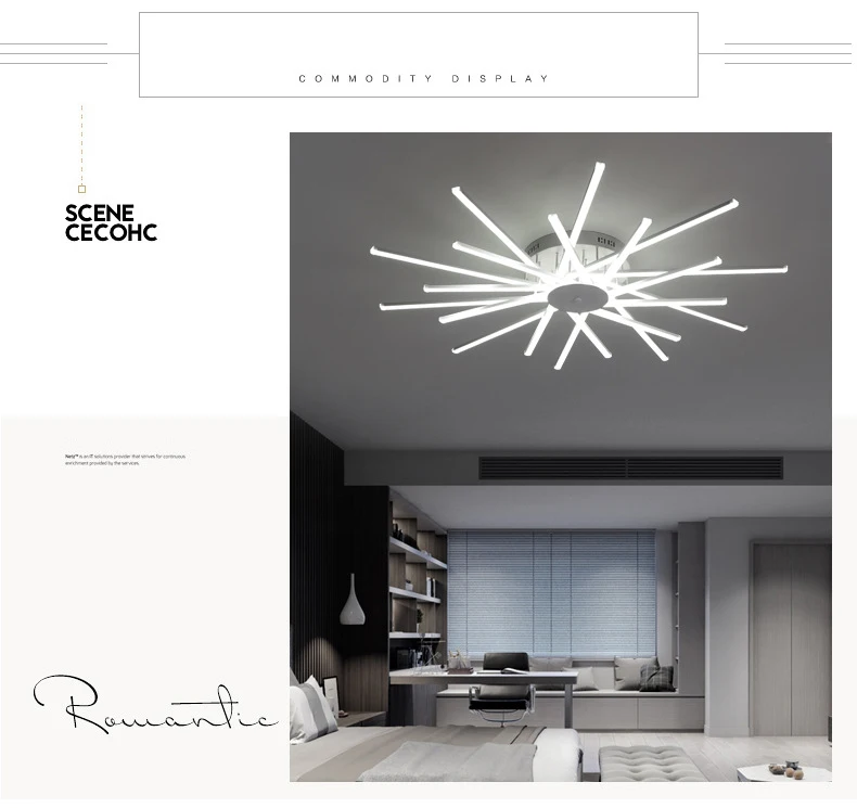 9135292164_1445569148