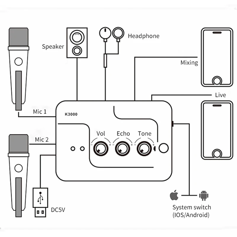 Профессиональная USB внешняя звуковая карта Echo аудио интерфейс внешний двойной микрофон входы Plug Play для прямой трансляции телефона Vid