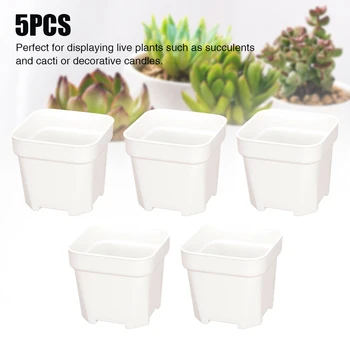 

5pcs Ornament Plastic Mini Garden Home Office Anti Corrosion Succulent Hotel Cactus Plant Solid Square Colorful Flower Pots