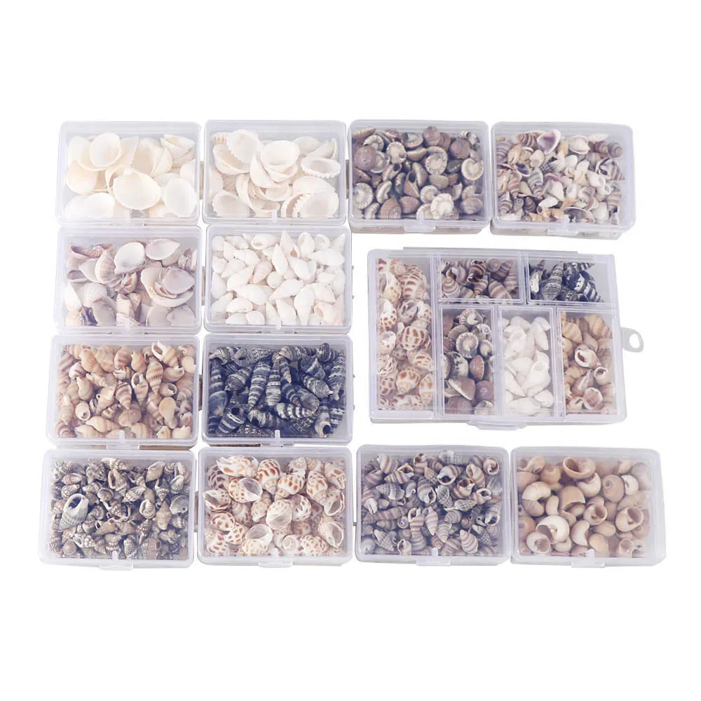 

Mix Style Natural Shell 1-3cm 1 BOX Natural Conch Shells Mini Conch Corn Screw Wall Decoration DIY Aquarium Landscape Seashells